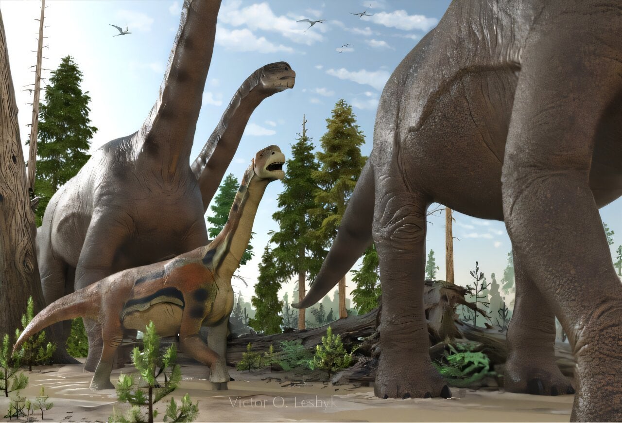 Herd of the Jurassic sauropod dinosaur Camarasaurus walks through a mostly coniferous floodplain forest