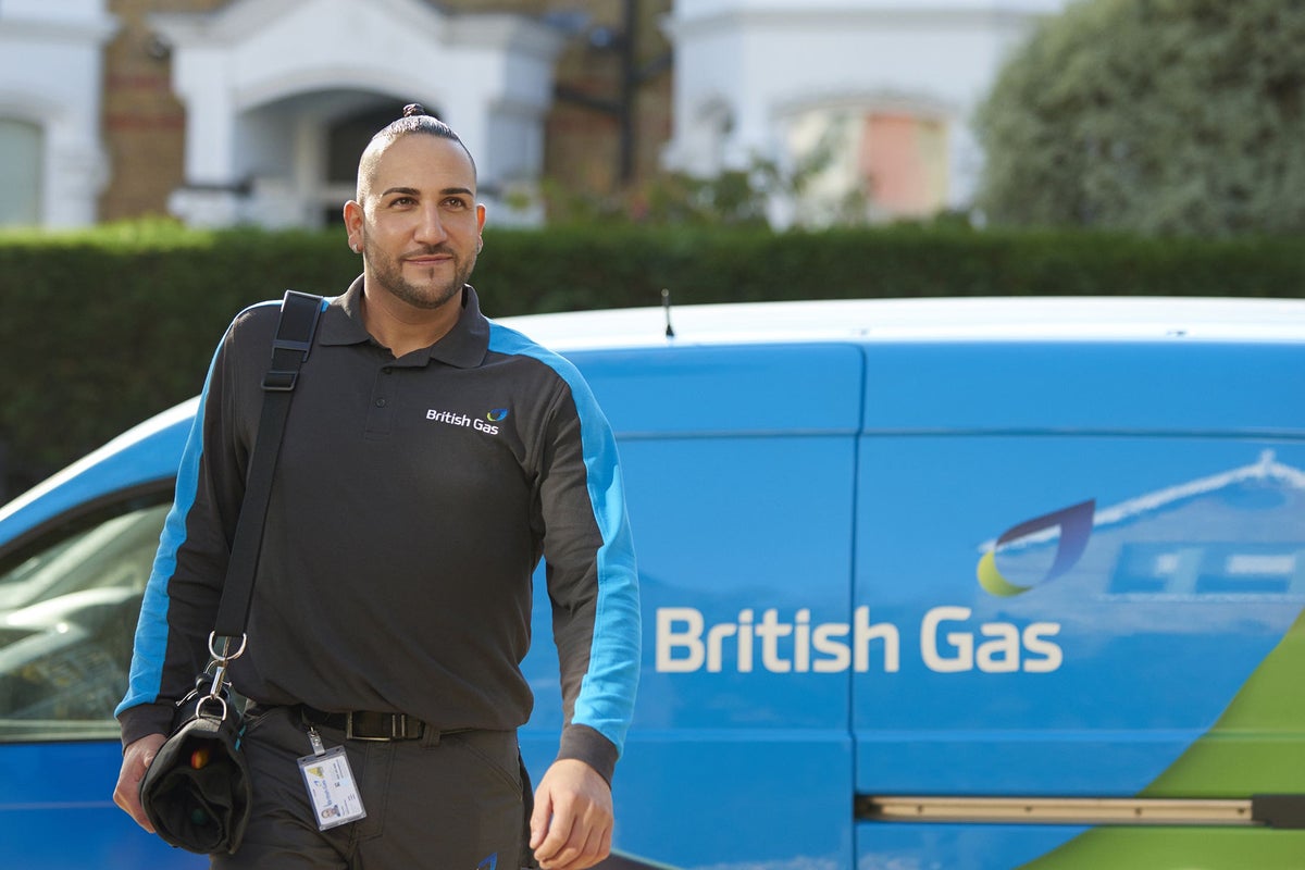 Centrica sees earnings in British Gas supply arm more than halve in 2024