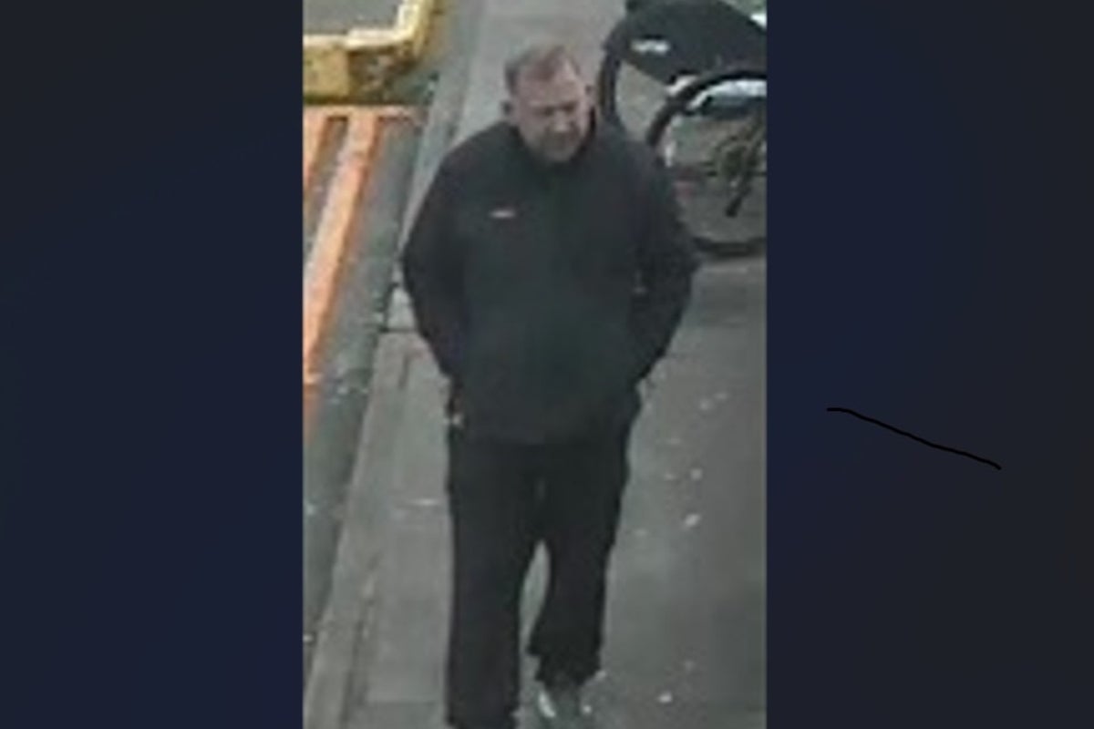 Police hunt man who caused £550k worth of train delays after climbing onto tracks