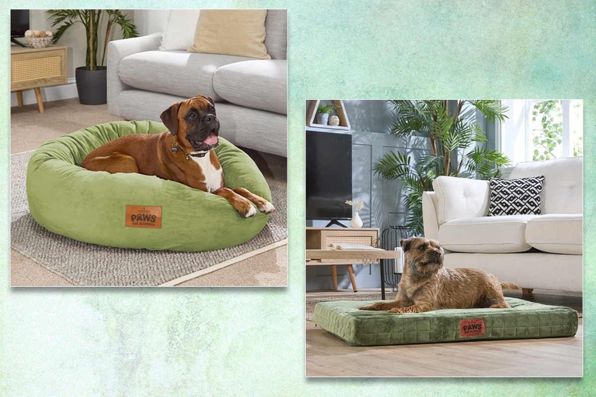 Best Large Dog Beds 21 Best Dog Beds For Large Dogs To Nap On In 2025 - Best Large Dog Beds For Big Dogs With Neutral Colors