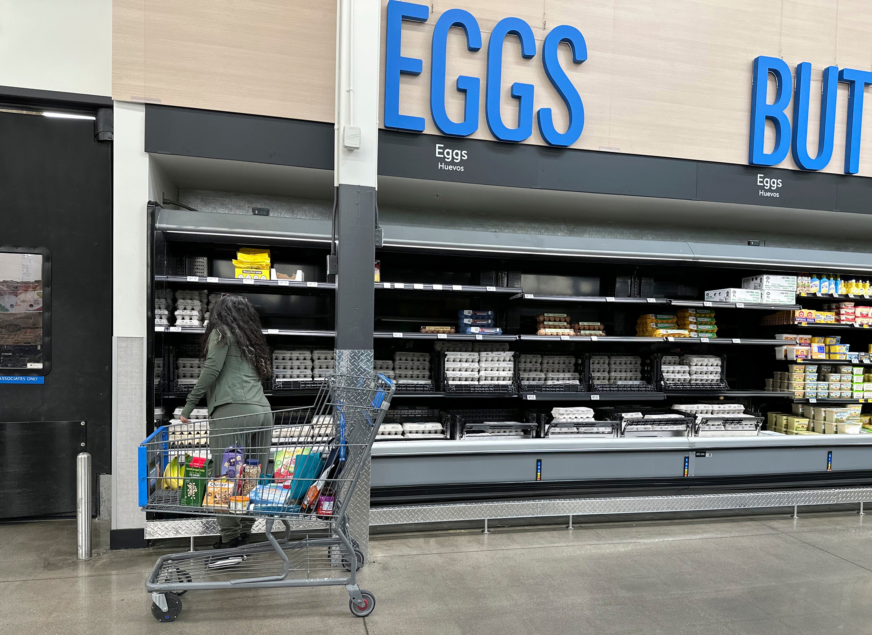 Egg Prices