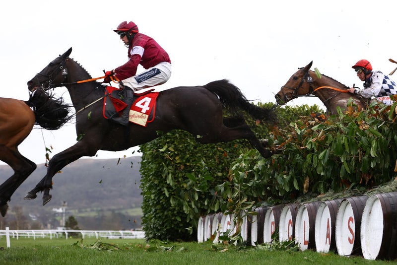 Three-time Cheltenham Festival winner Delta Work dies aged 12