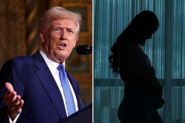 <p>It’s an especially anxious time for pregnant mothers caught in the crossfire of this sweeping executive order </p>