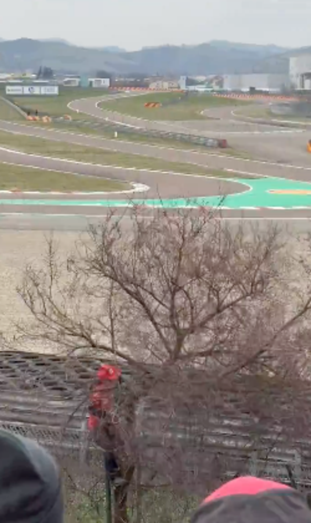 <p>A Ferrari fan cuts down a tree for a better view of Lewis Hamilton's car at the Fiorano circuit</p>