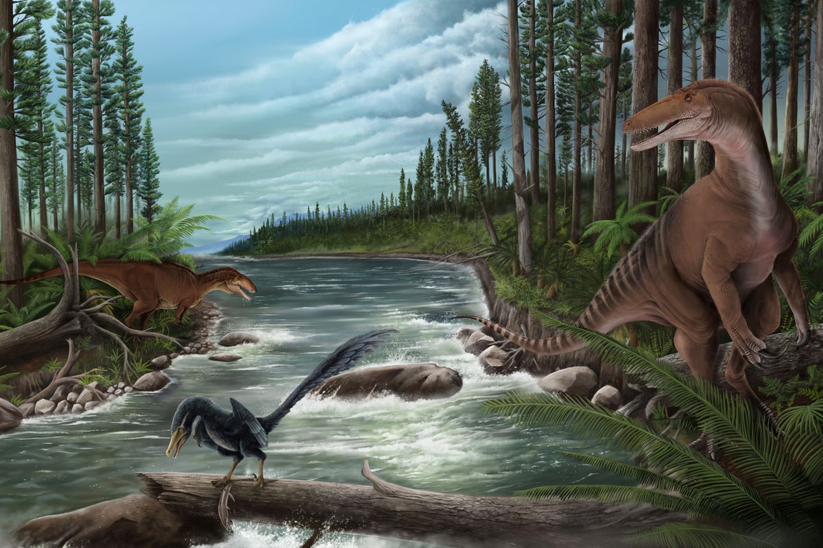 Paleontologists Discover Oldest Known Megaraptorid, First Carcharodontosaur Fossils in Australia