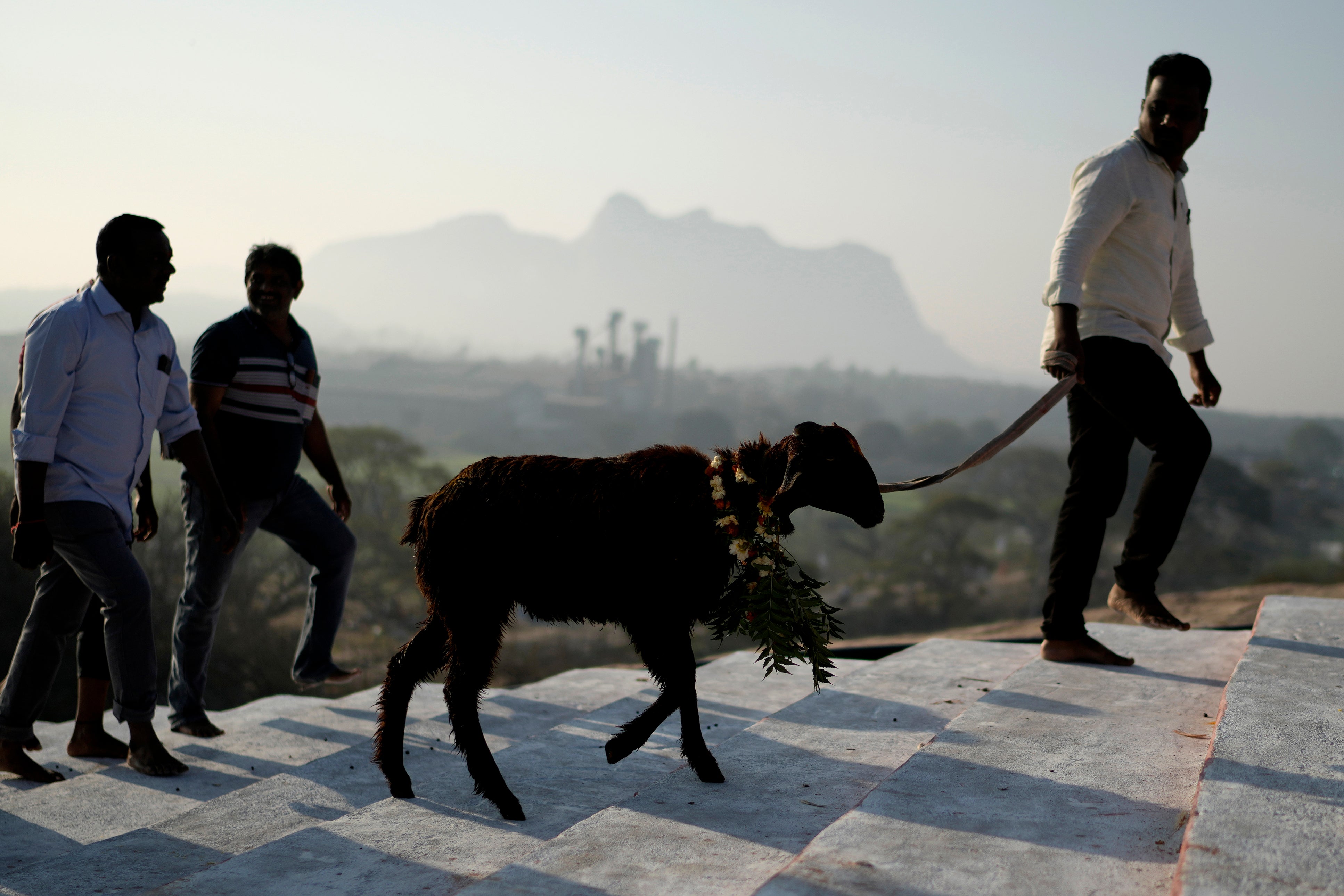 India Temple Pilgrimage Photo Gallery