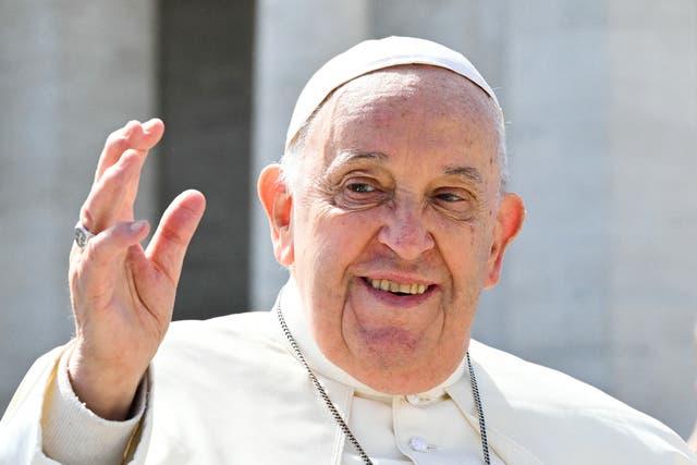 <p>Pope Francis pictured in December 2024</p>