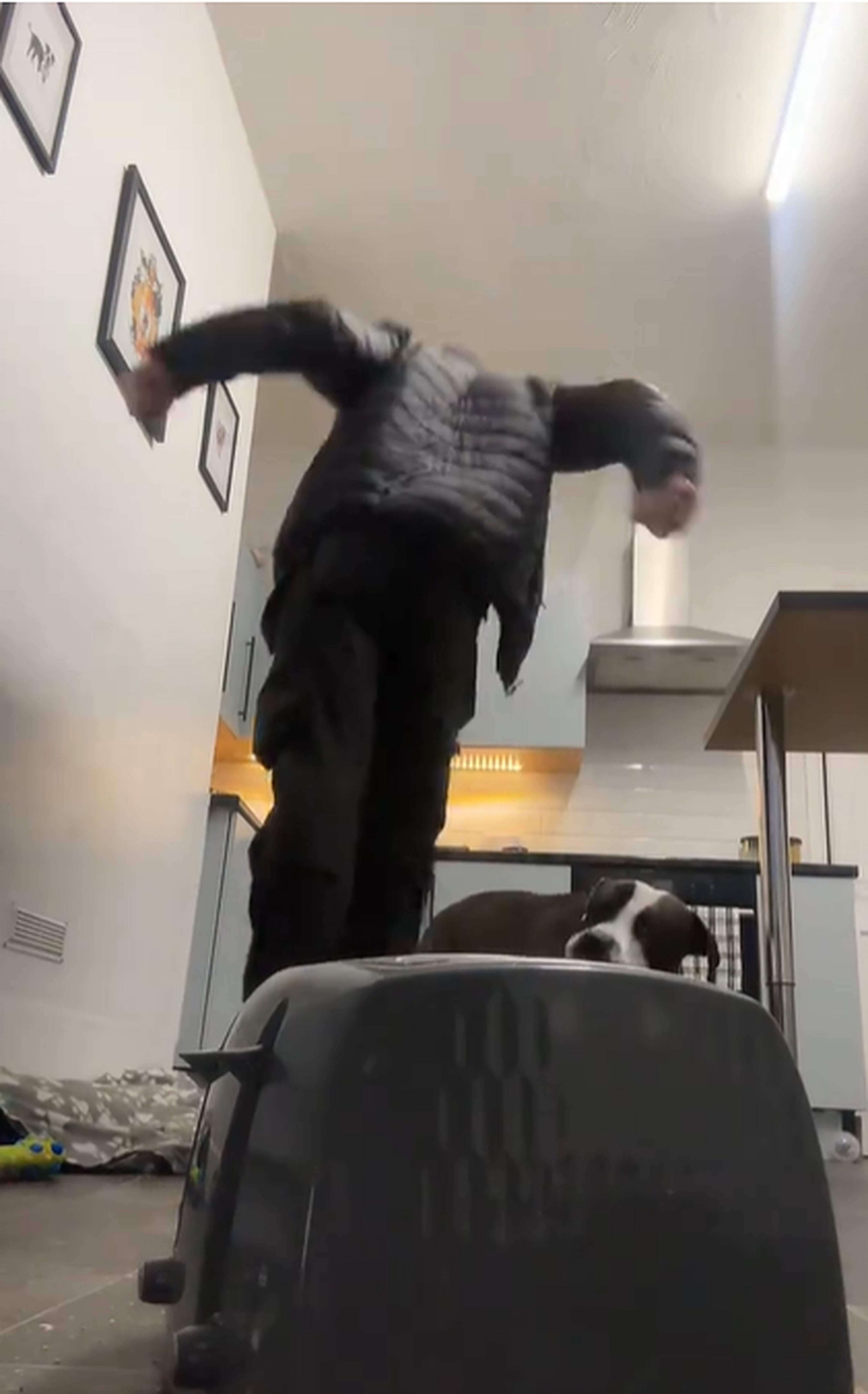 Luke Pilling, from Bolton, received more than 3.8 million views for a video which shows him jumping around his room in pain after dropping a toaster, air fryer and computer monitor on his lowest extremity