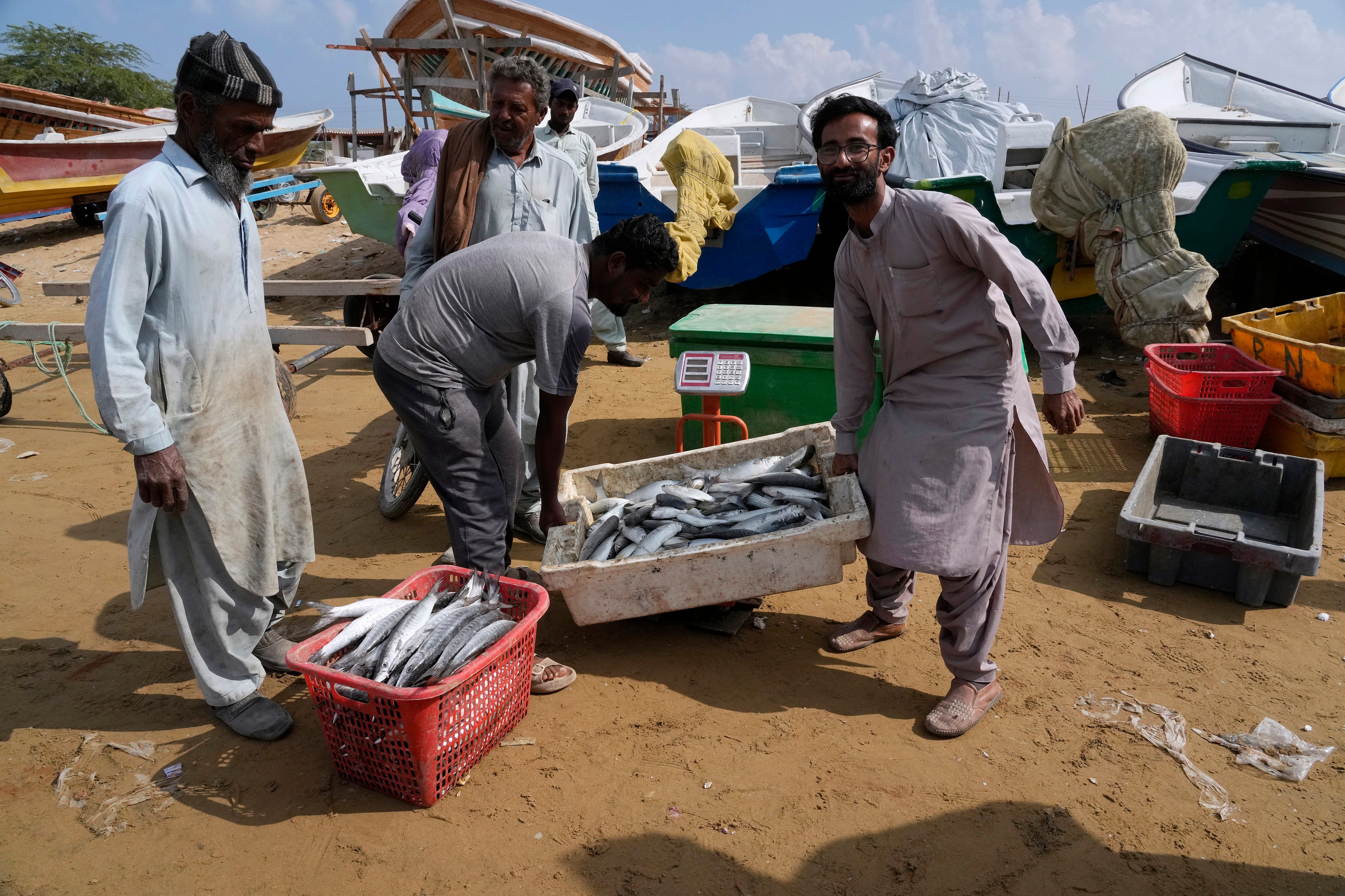 Fishermen weight fish on a scale in the coastal city of Gwadar, in southwest Pakistani province of Balochistan