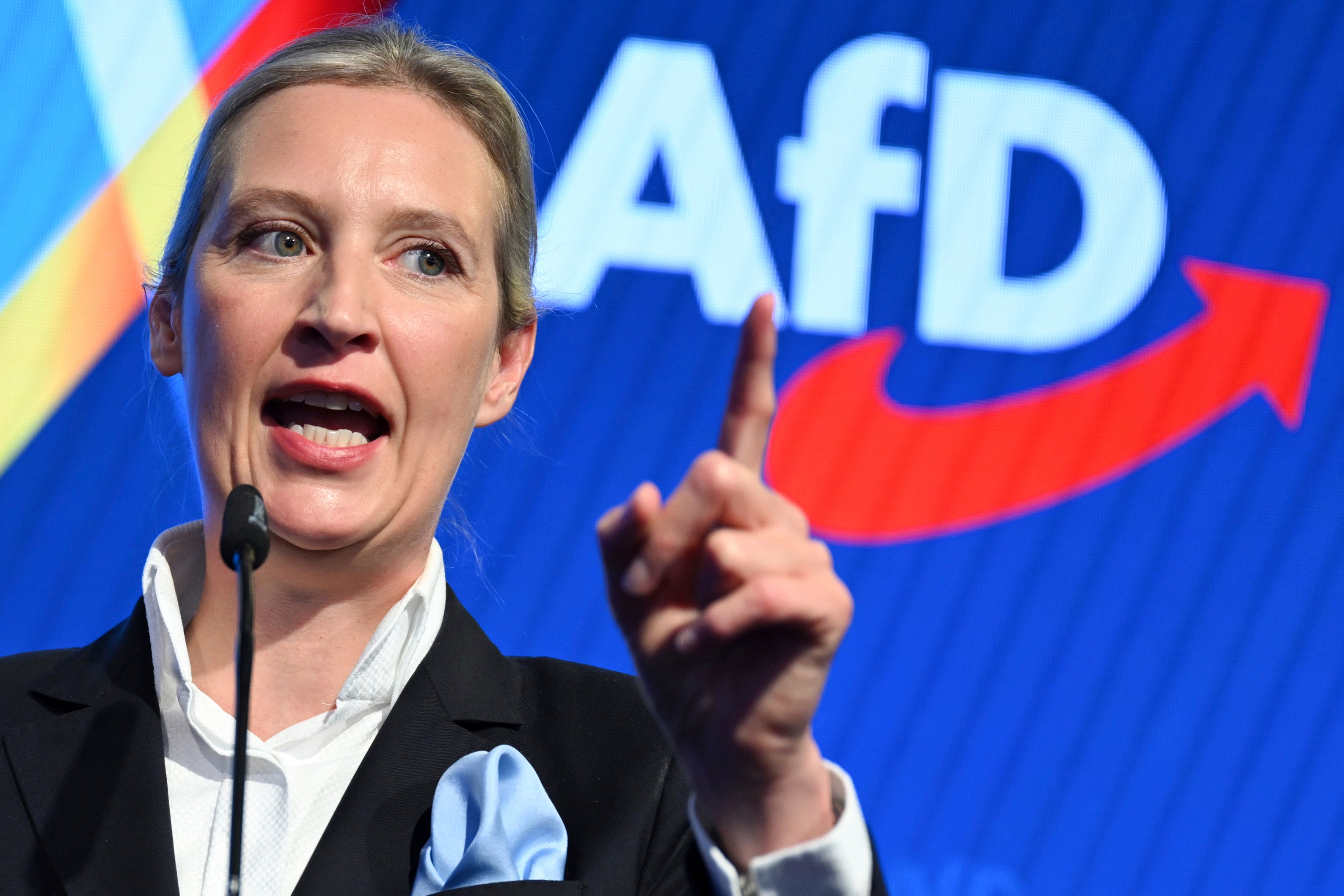 Alice Weidel, leader of the AfD in the Bundestag