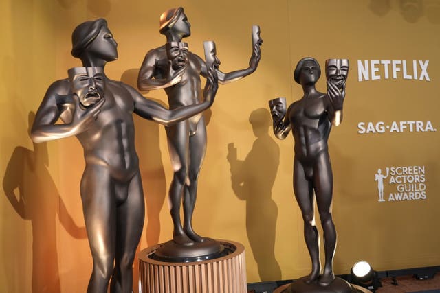 31st Annual SAG Awards - Red Carpet