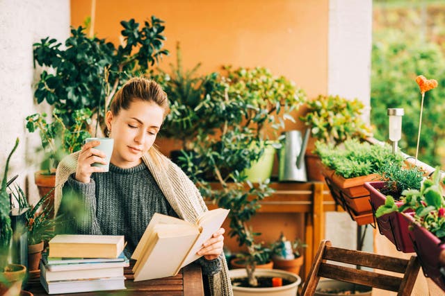 There are ways to create a harmonious reading nook in your outside space (Alamy/PA)