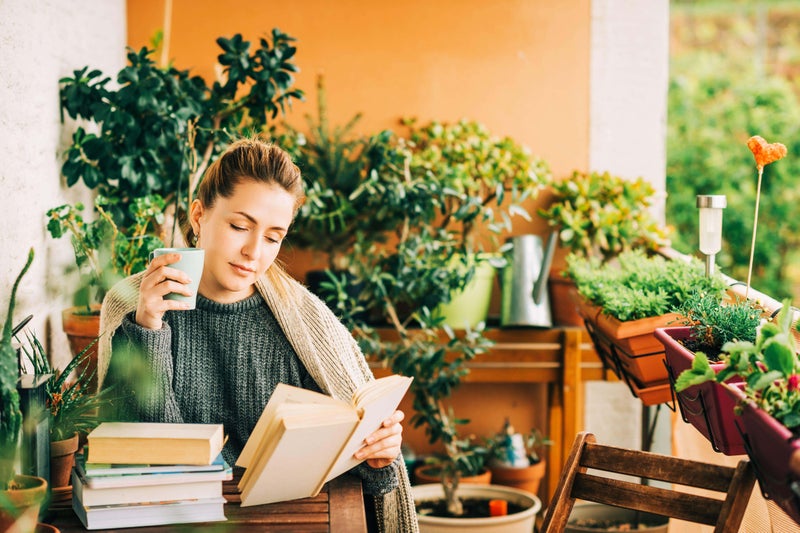 How to create an outdoor reading space in a small garden