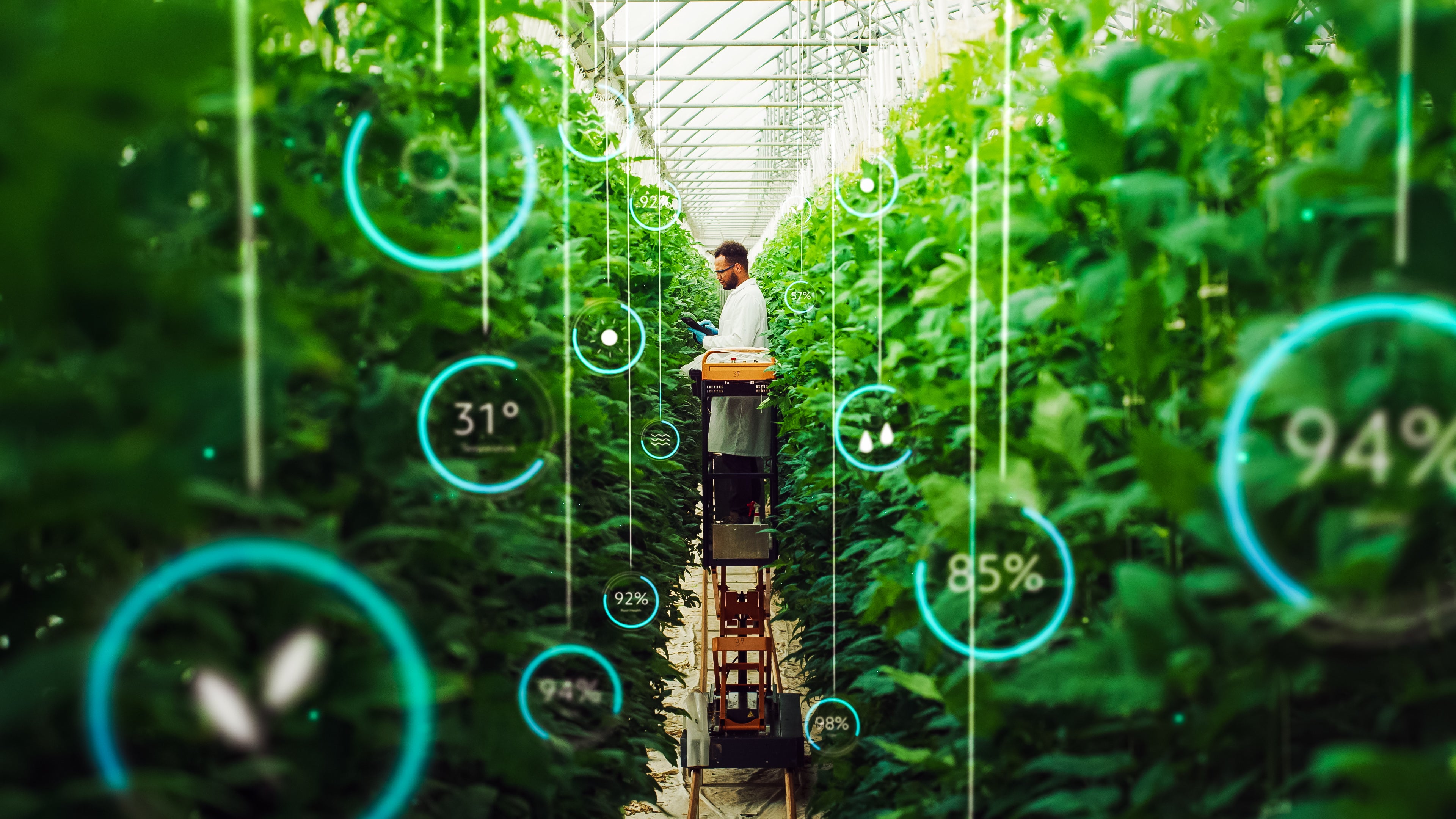 A solution for everyone: The controlled environment of vertical farming means food production can happen close to the final consumer, even in cities