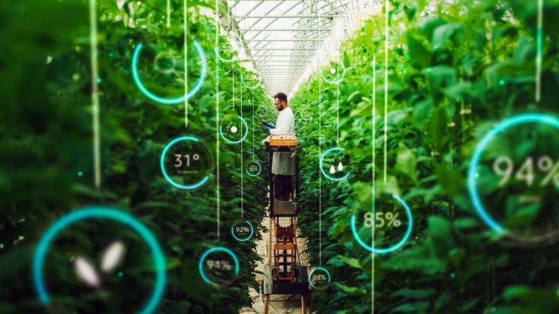 Why vertical farming – and digitalisation – could be an answer to food shortages