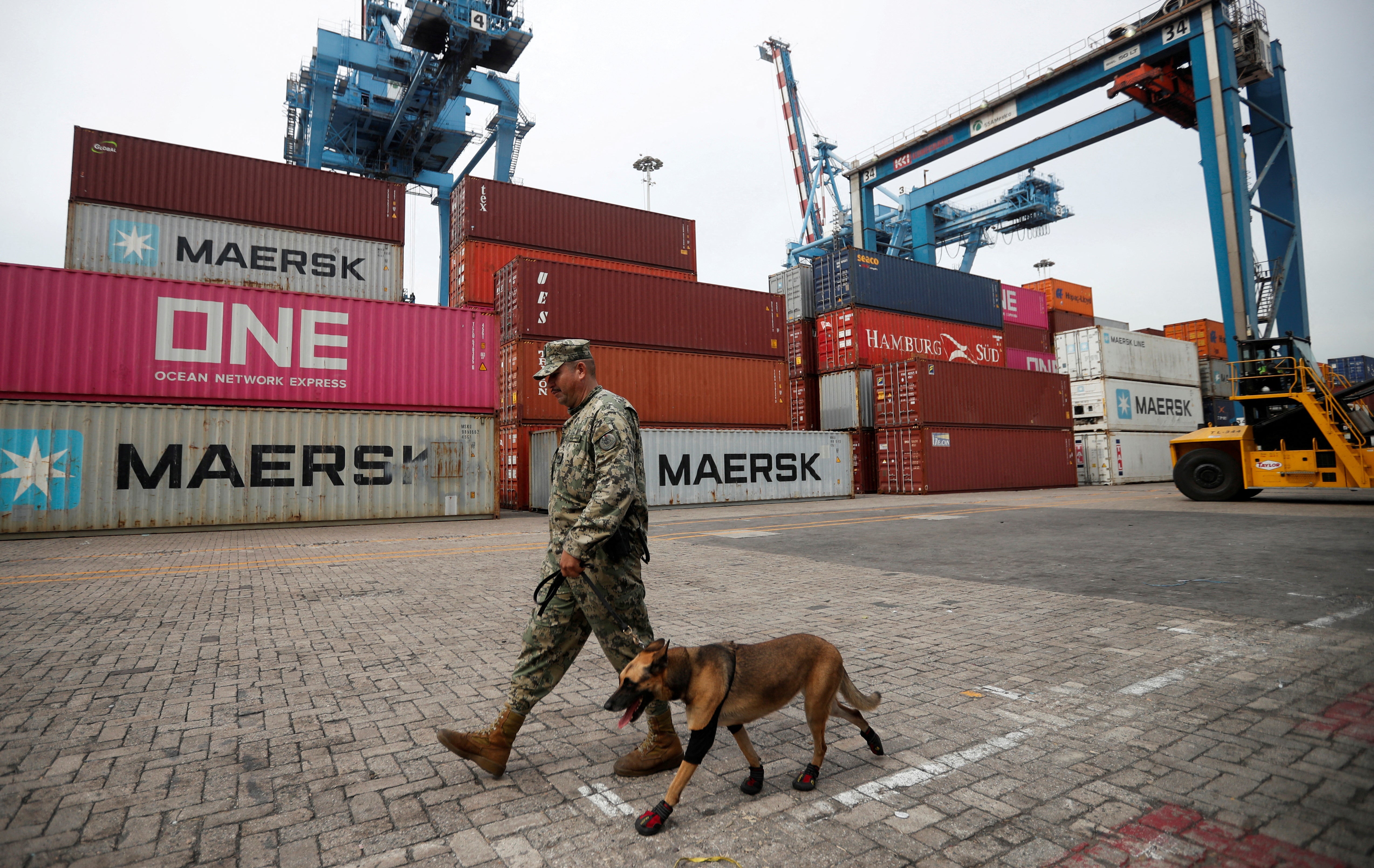 FILE PHOTO: A member of the Mexican Navy and a sniffer dog patrol the seaport of Manzanillo in December 2023