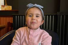 Girl, three, killed in crash between van and tram named as man arrested