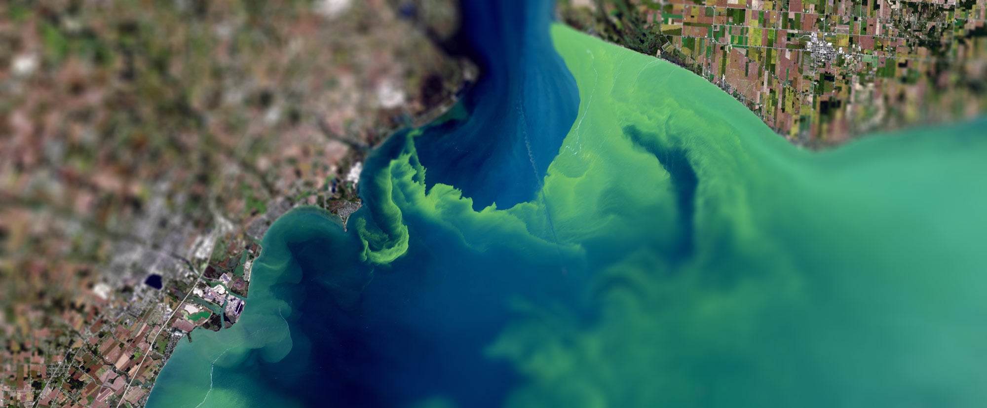 Researchers at Michigan State University have examined data from tens of thousands of lakes across the U.S., finding key climate-related patterns in levels of algae for freshwater bodies. Algae blooms can cost millions and close popular beaches