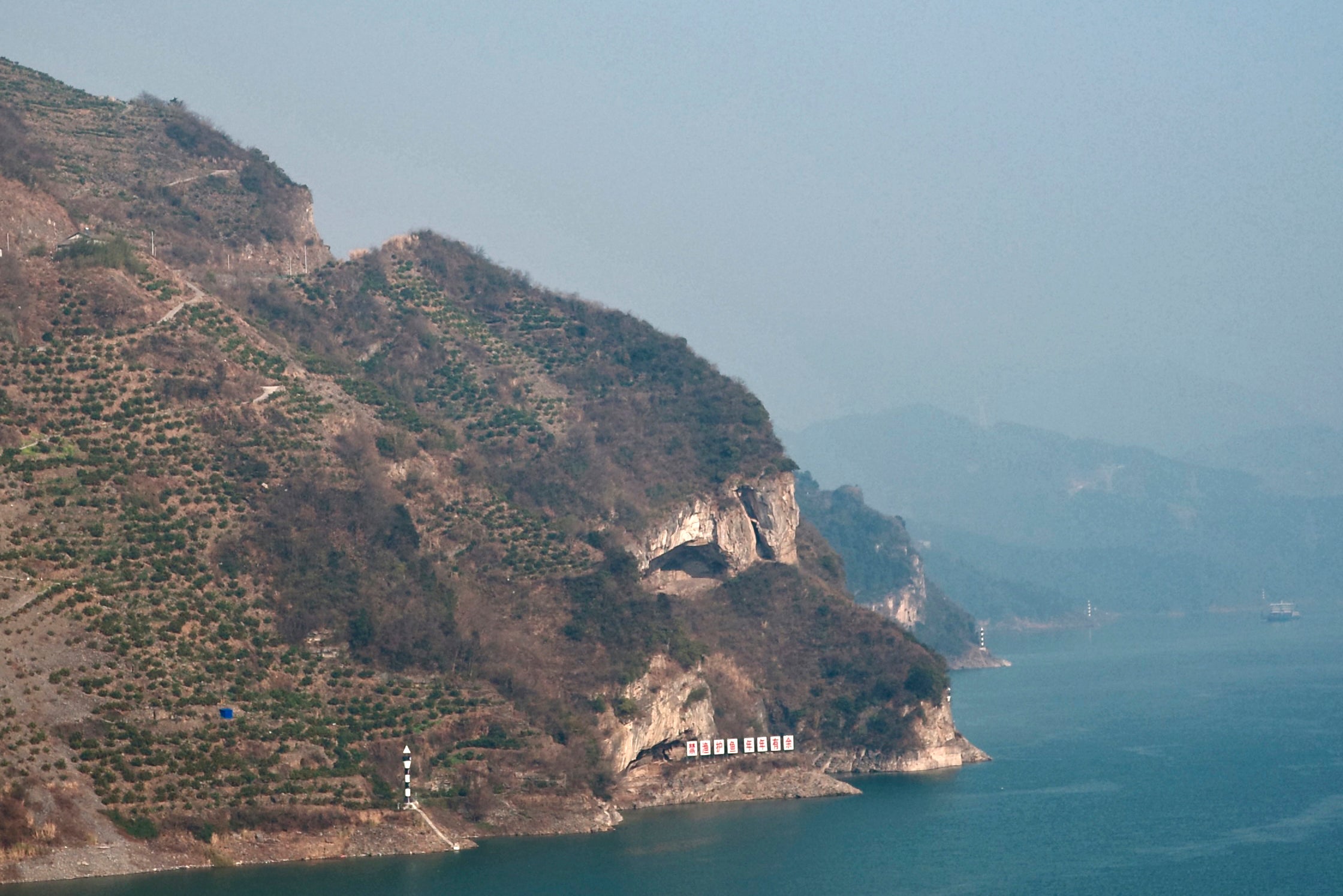 China Puppy Mountain