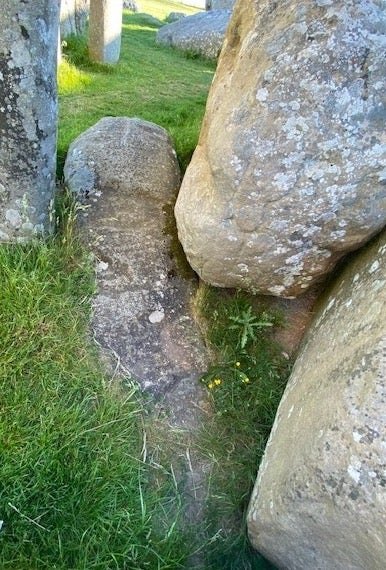 Pictured here (lying partly buried in the ground) is Stonehenge’s ‘stone 67’ which Professor Meaden is proposing was deliberately shaped to resemble a penis. At its far end is it’s bulbous tip (it’s probable glans). And below it’s bulbous end, the shaft of the phallus appears to have been deliberately ‘slimmed down’ to make it less bulbous than the glans. The stone to the right is the fallen lintel from the Great Trilithon