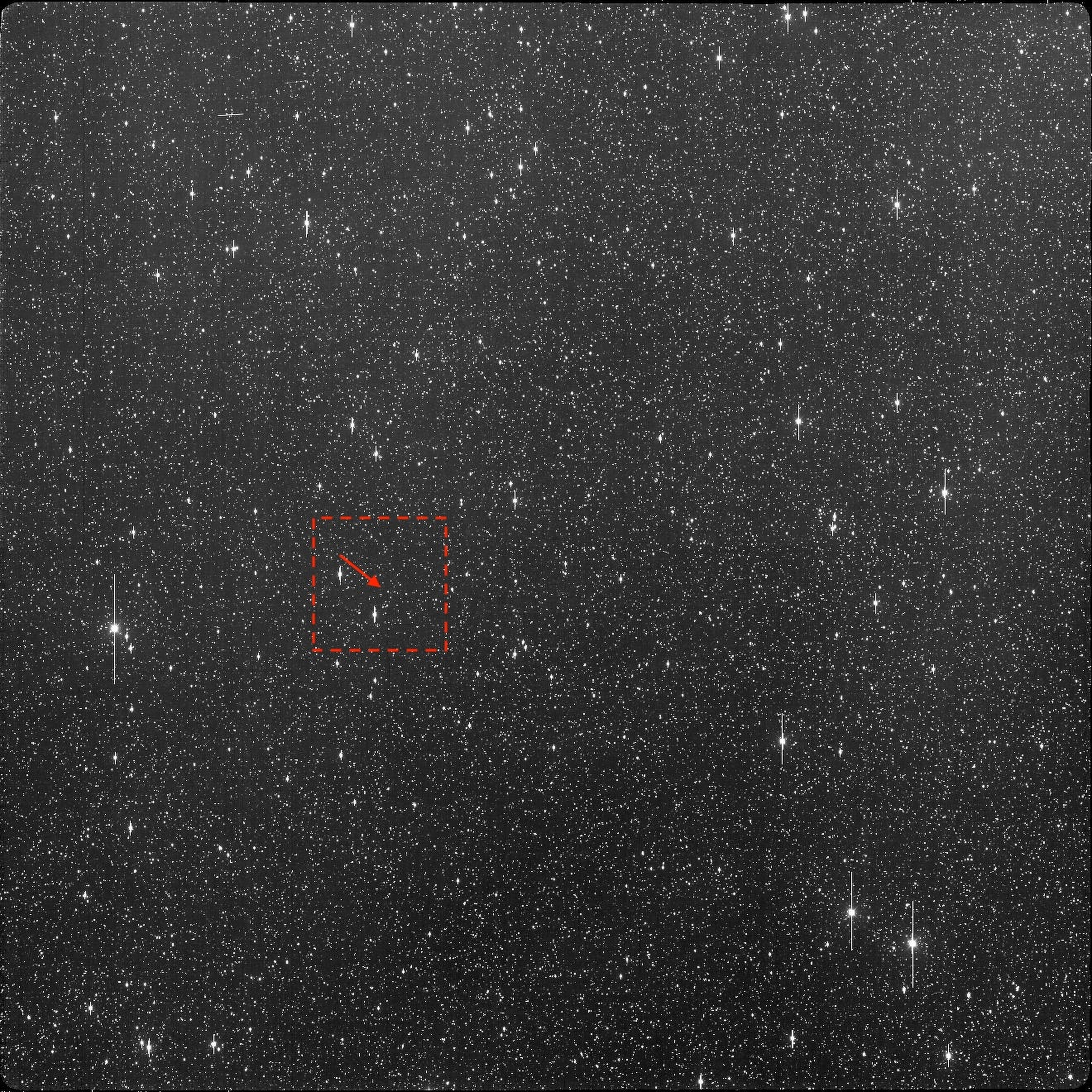Newly Discovered Asteroid