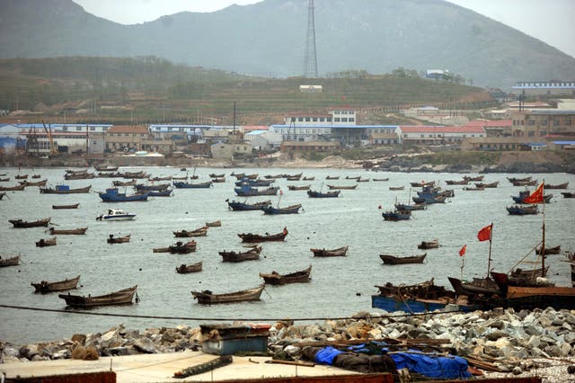 <p>Representative. Fishing boats berthed in China</p>