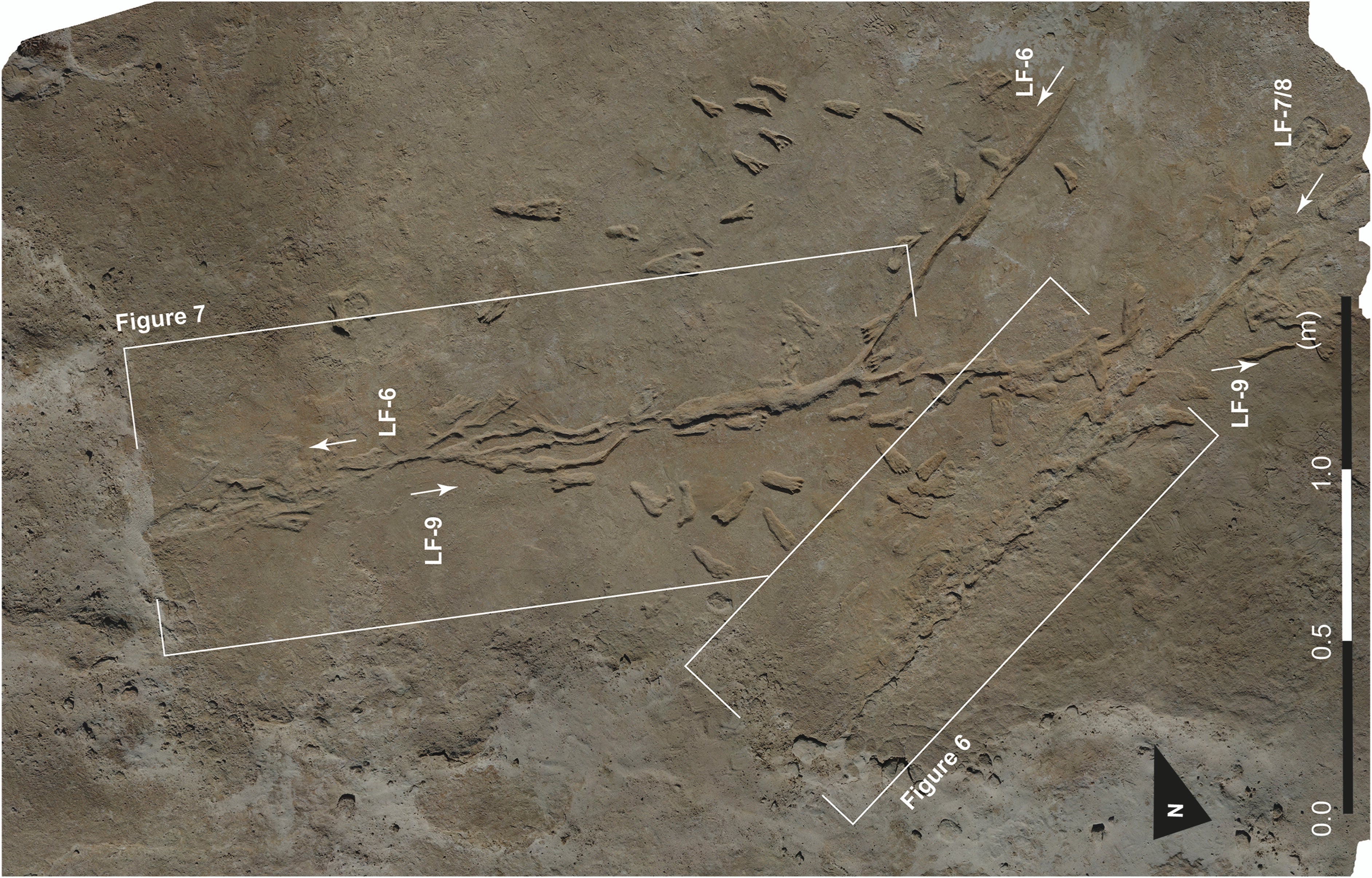 Drag marks could be evidence of oldest known human-made vehicle