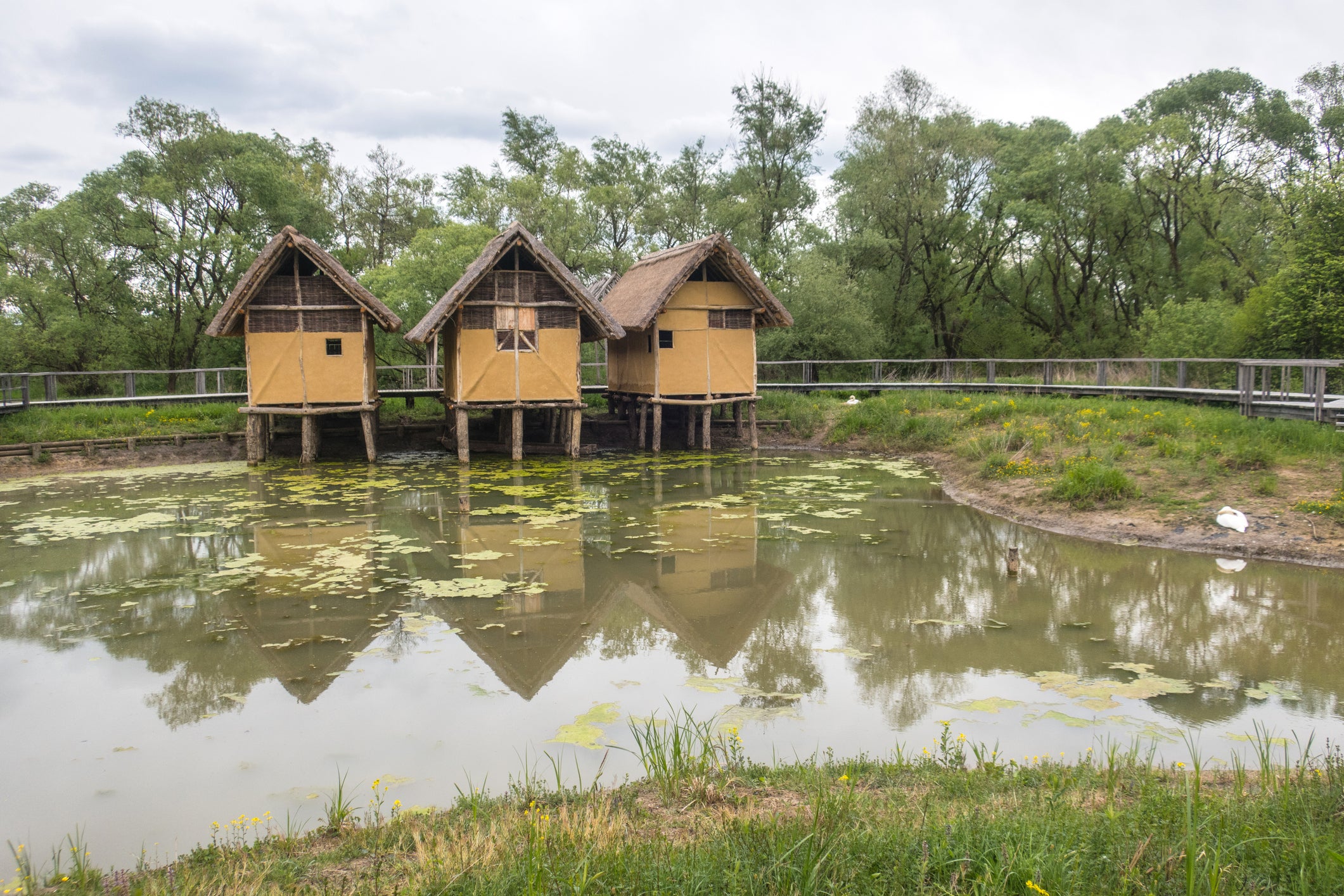 Some of the dwellings that can be found in the Ljubljana Marshes