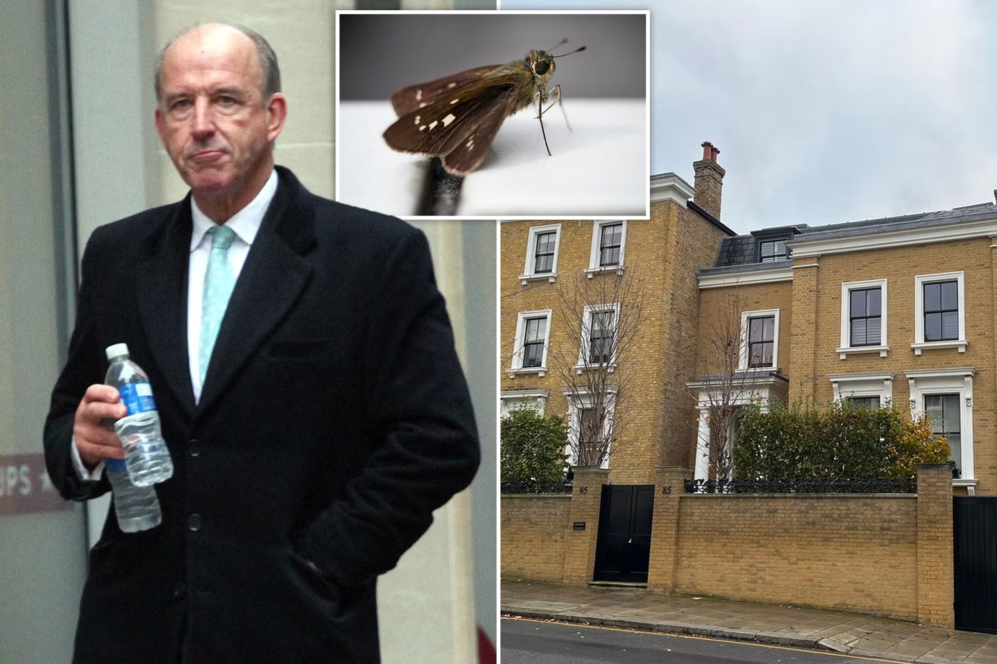 The couple said the source of the moth scourge was the wool insulation behind walls and ceilings in the house