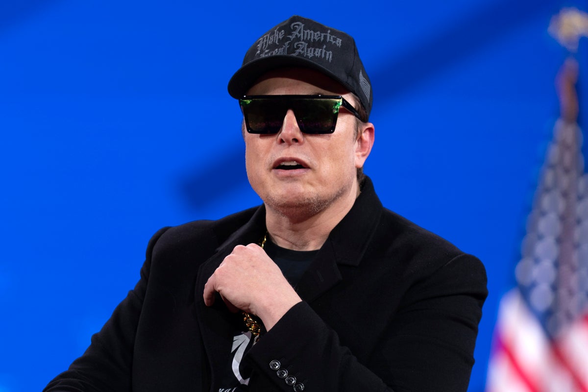 Republicans wrestle with Elon Musk while Democrats call him a 'd***' — and  worse | The Independent