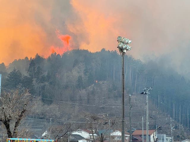 <p>Wilfires in Ofunato, Iwate prefecture, northeastern Japan</p>