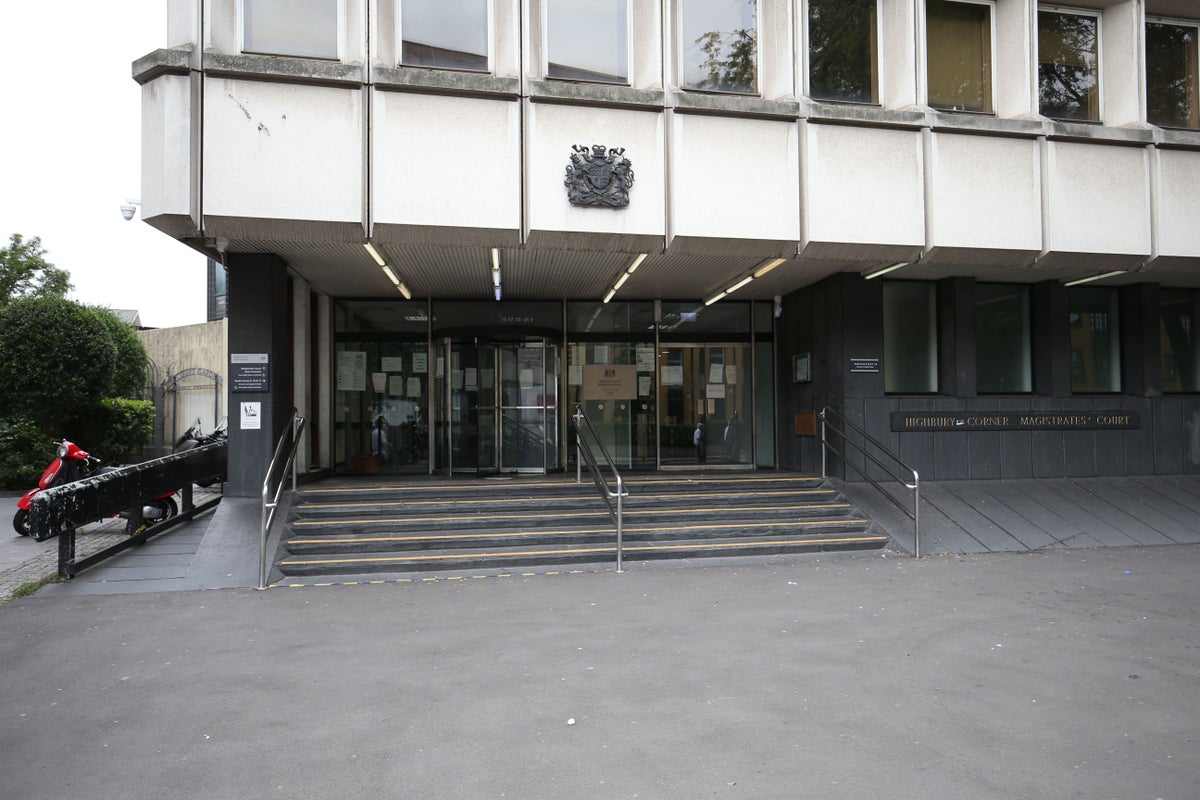 Teenager, 17, detained for ‘sadistic’ torture and killing of two kittens