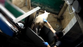 Slaughterhouse staff played wolf sounds to sheep and ‘inflicted immense pain, fear and distress’