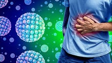 This is why everyone seem to have norovirus at the moment