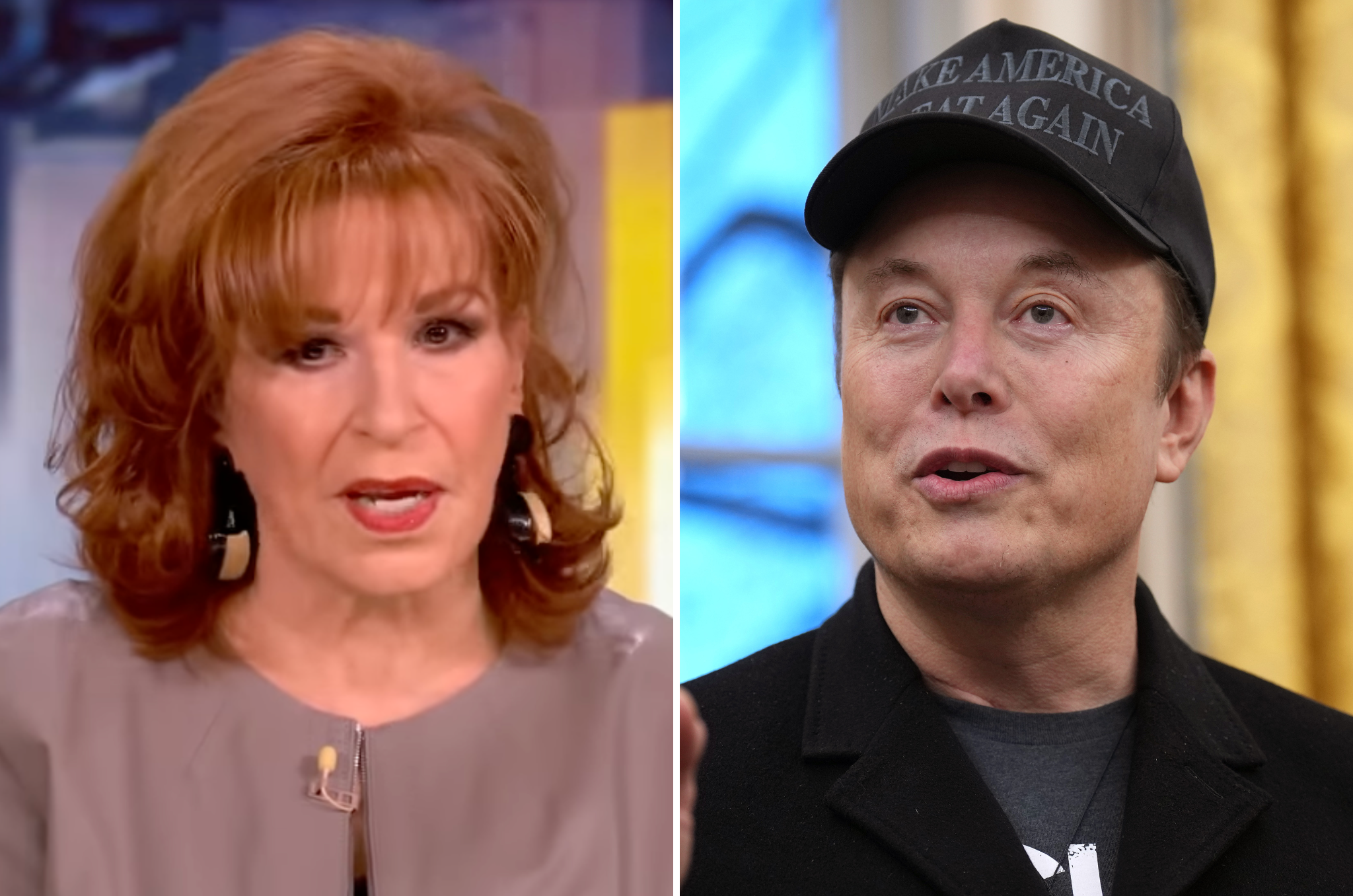 Joy Behar called Elon Musk 'pro-apartheid' during Thursday's episode of 'The View'