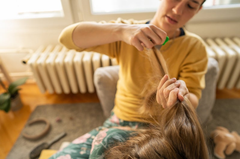 Head lice are getting harder to kill - here’s three steps to breaking the nit cycle