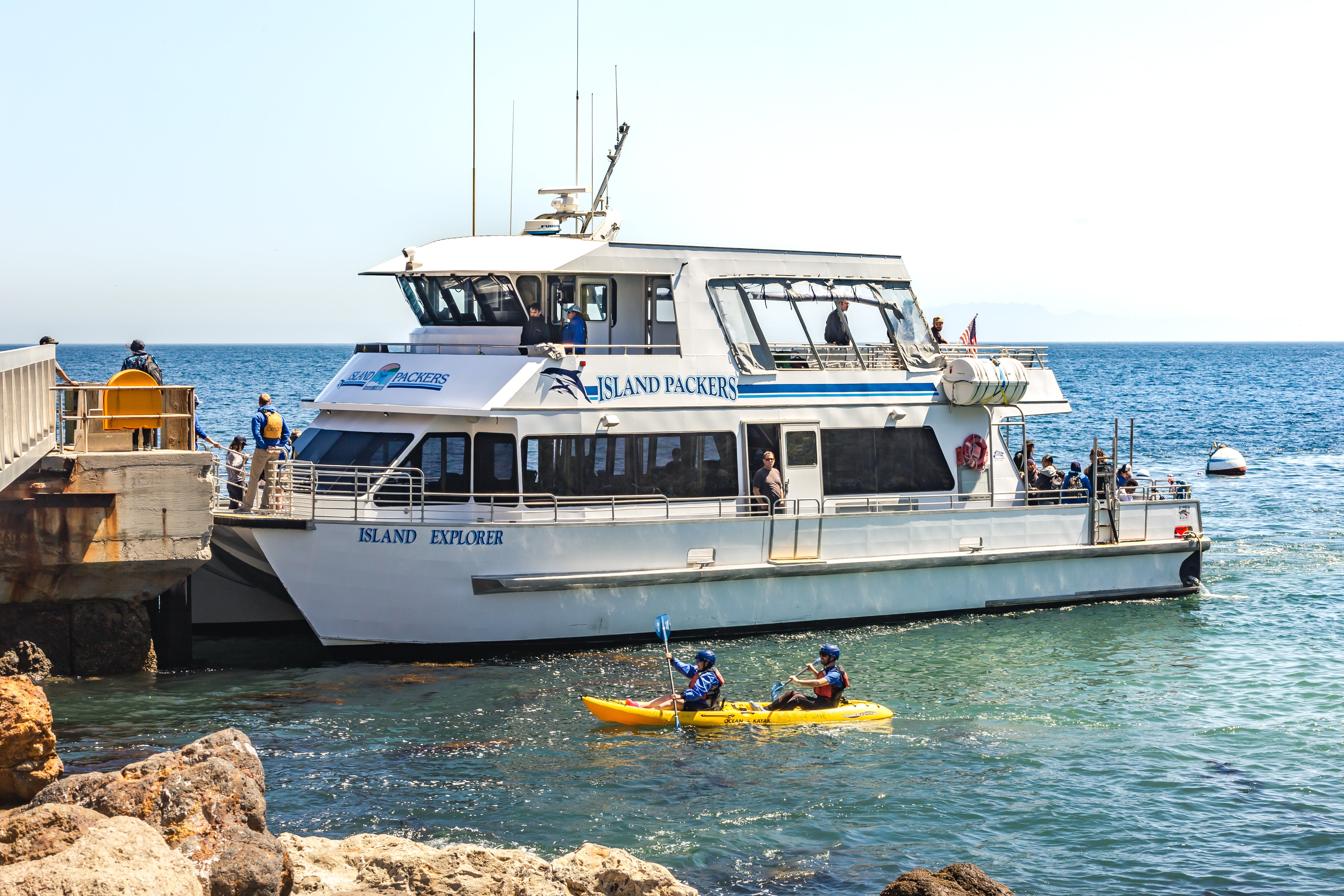 Island Packers run regular trips to the California Channel Islands