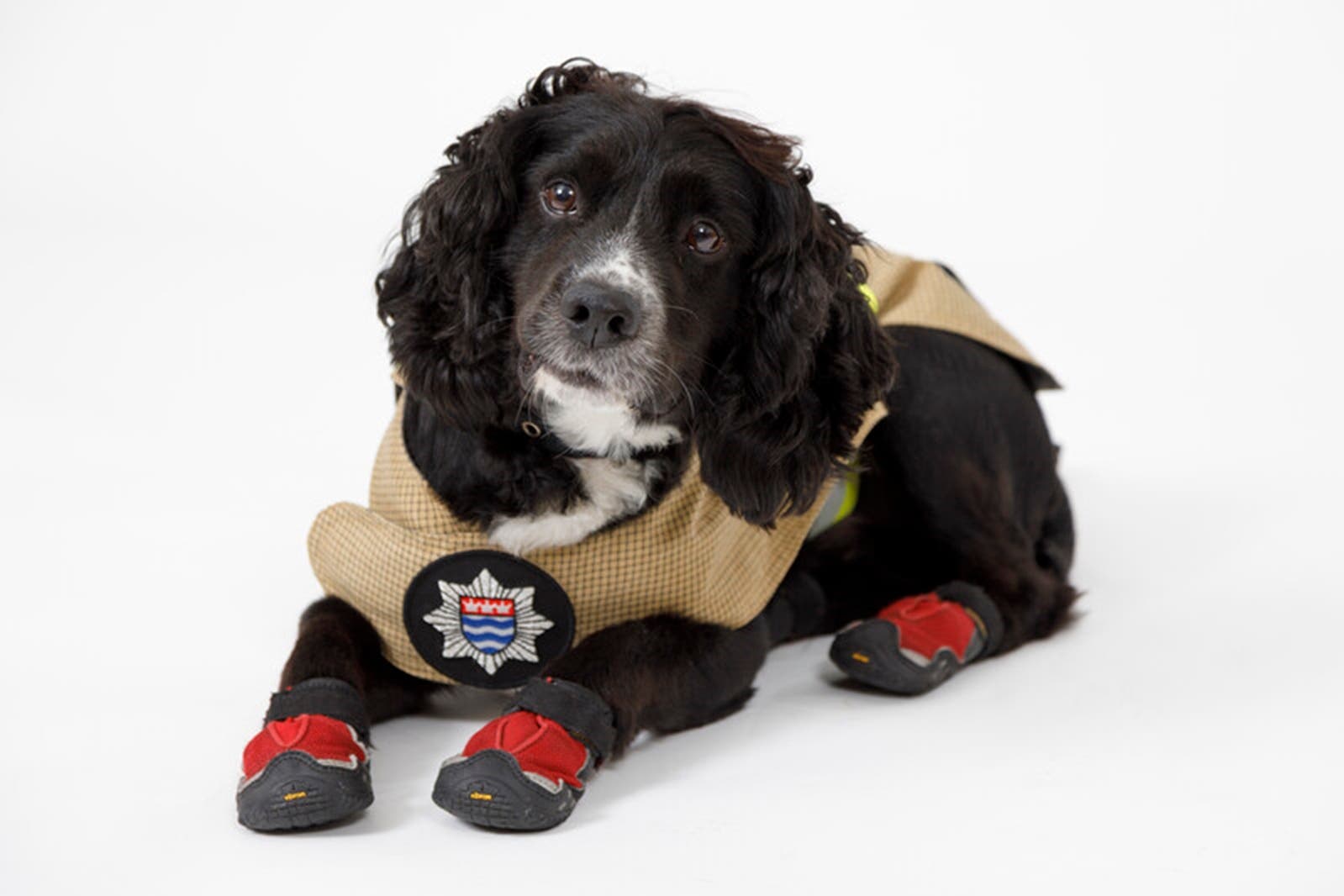 Sherlock joined the LFB at only 10 weeks old (London Fire Brigade/PA)