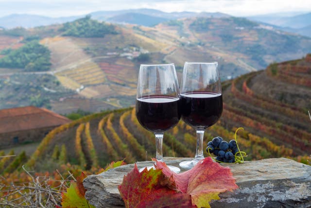 <p>A taste of the Douro: two glasses of Port, centuries of tradition and a valley that’s been making wine long before Britain had a taste for it</p>