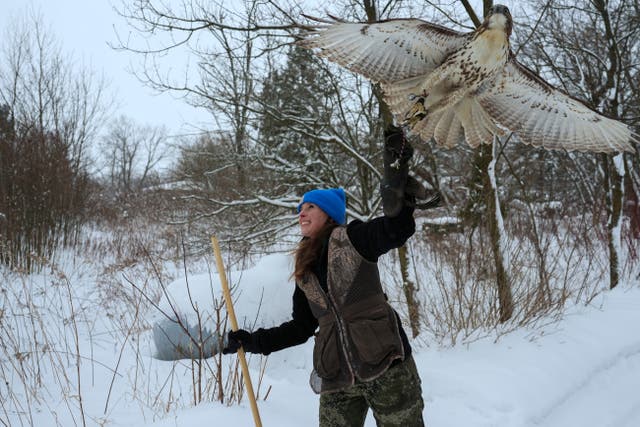 APTOPIX Climate Changing Falconry