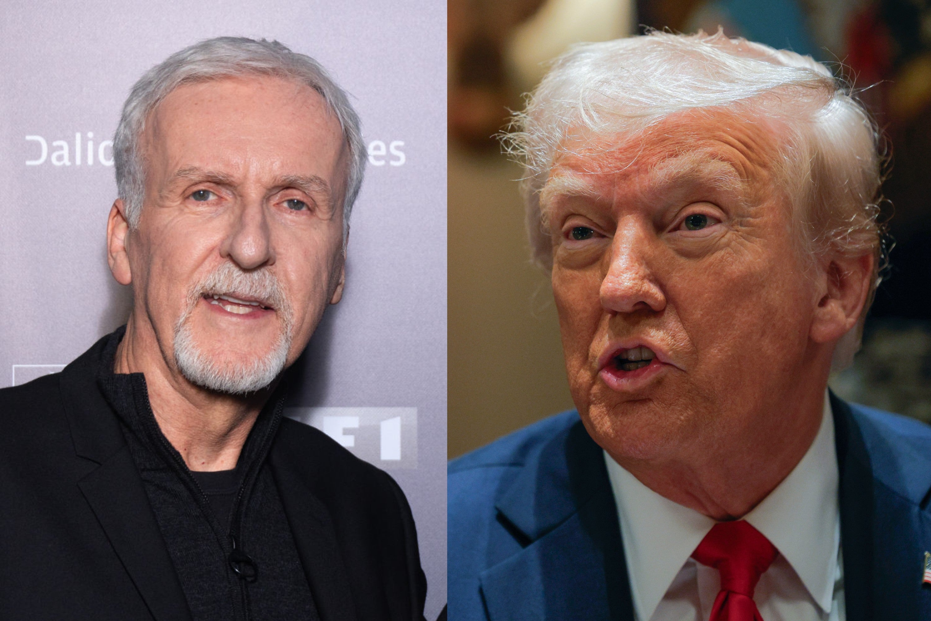 <p>James Cameron and Donald Trump</p>