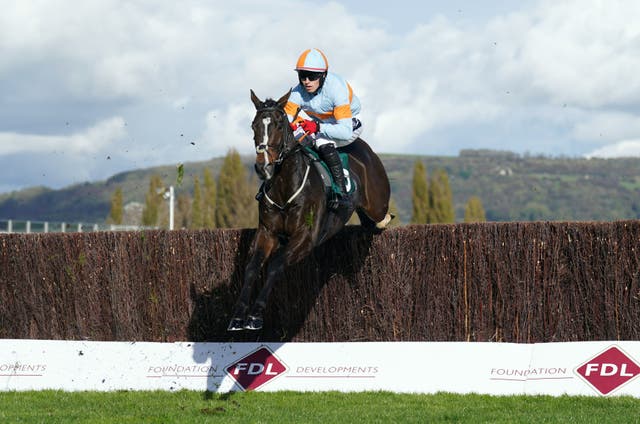 <p>Grey Dawning could be a worthy early pick to contend for the Cheltenham Gold Cup </p>