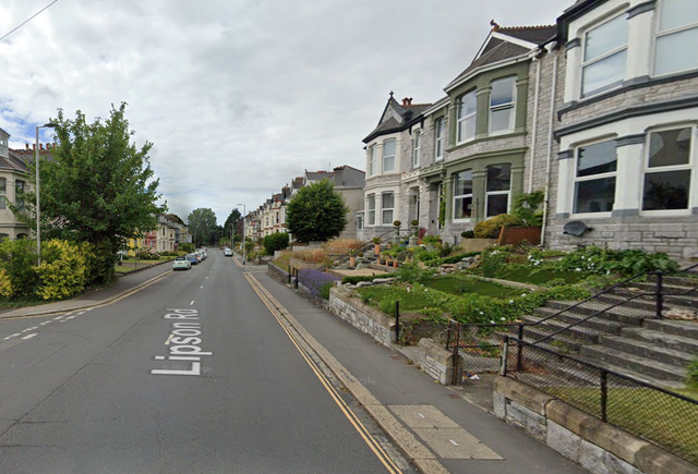 <p>Police are probing links to organised crime after the attack on Lipson Road, Plymouth</p>