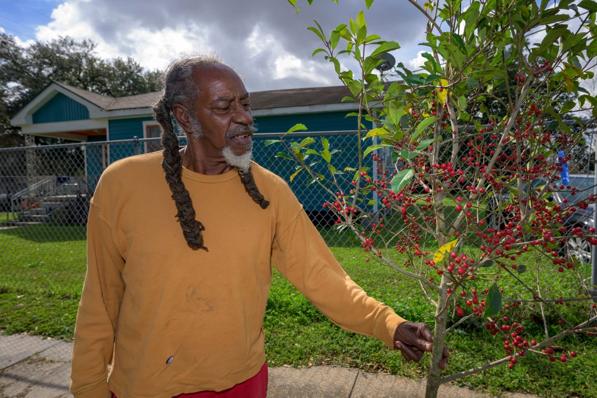 $75 million was awarded to plant trees in places that badly need them. In anti-DEI push, that's over