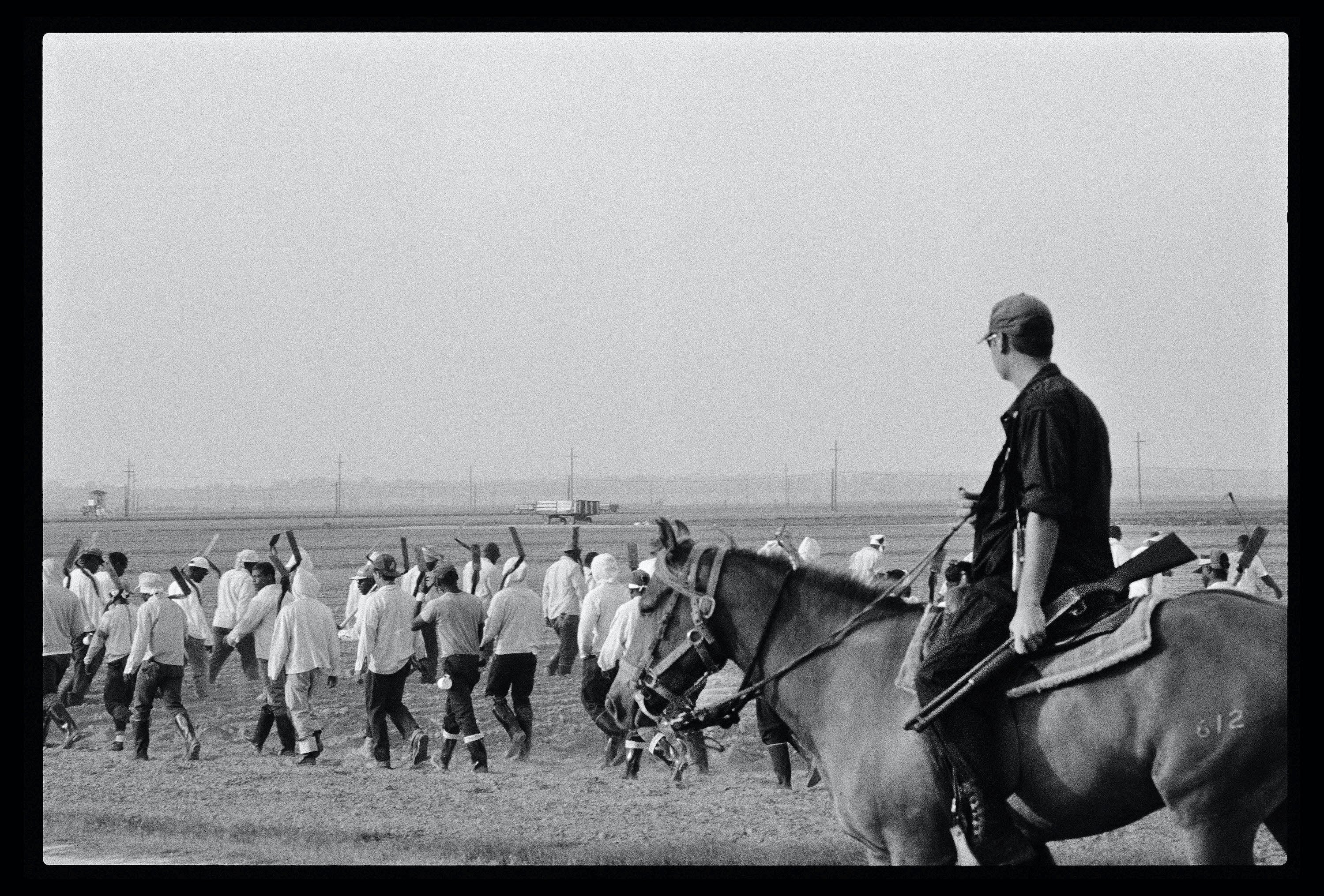 Prison Labor-Photo Gallery