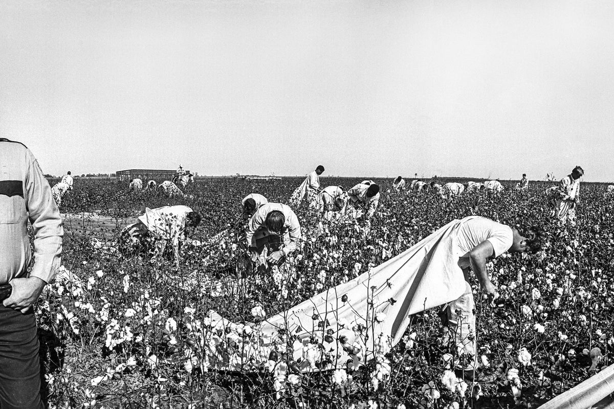 AP PHOTOS: A lens on prison labor