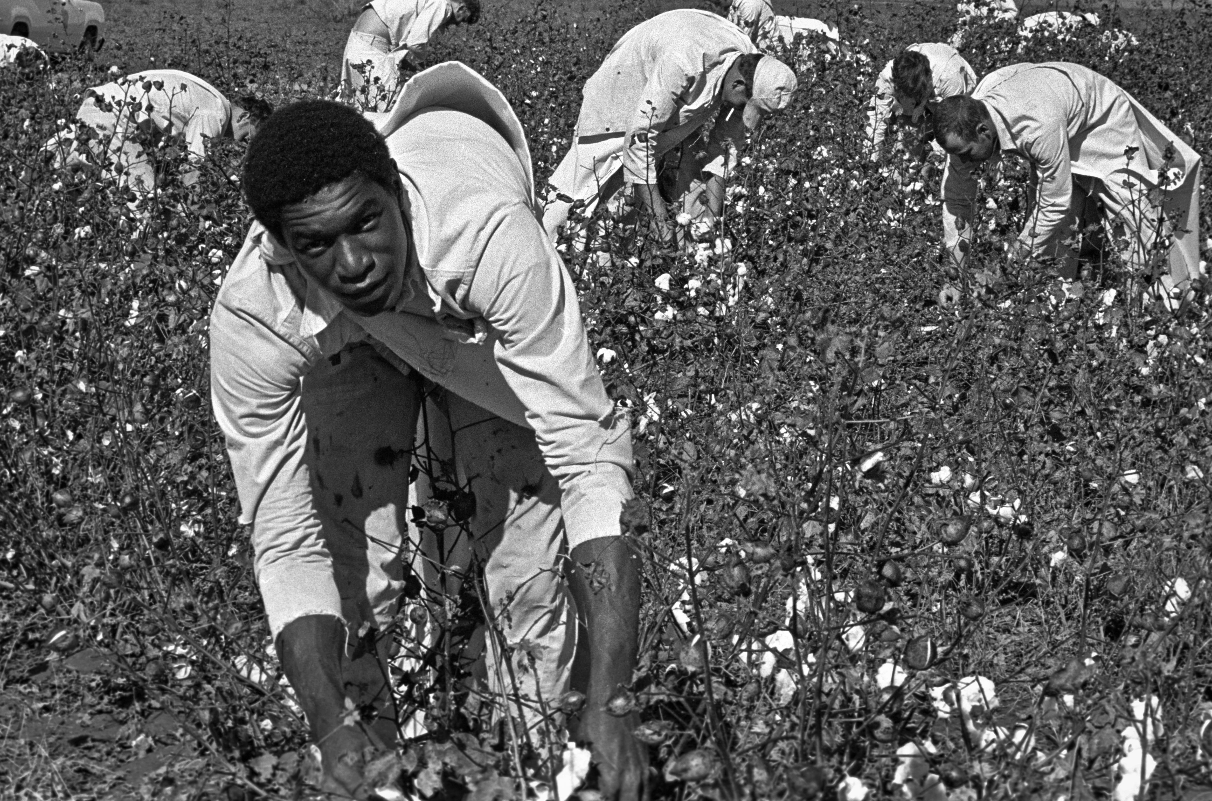 Prison Labor-Photo Gallery