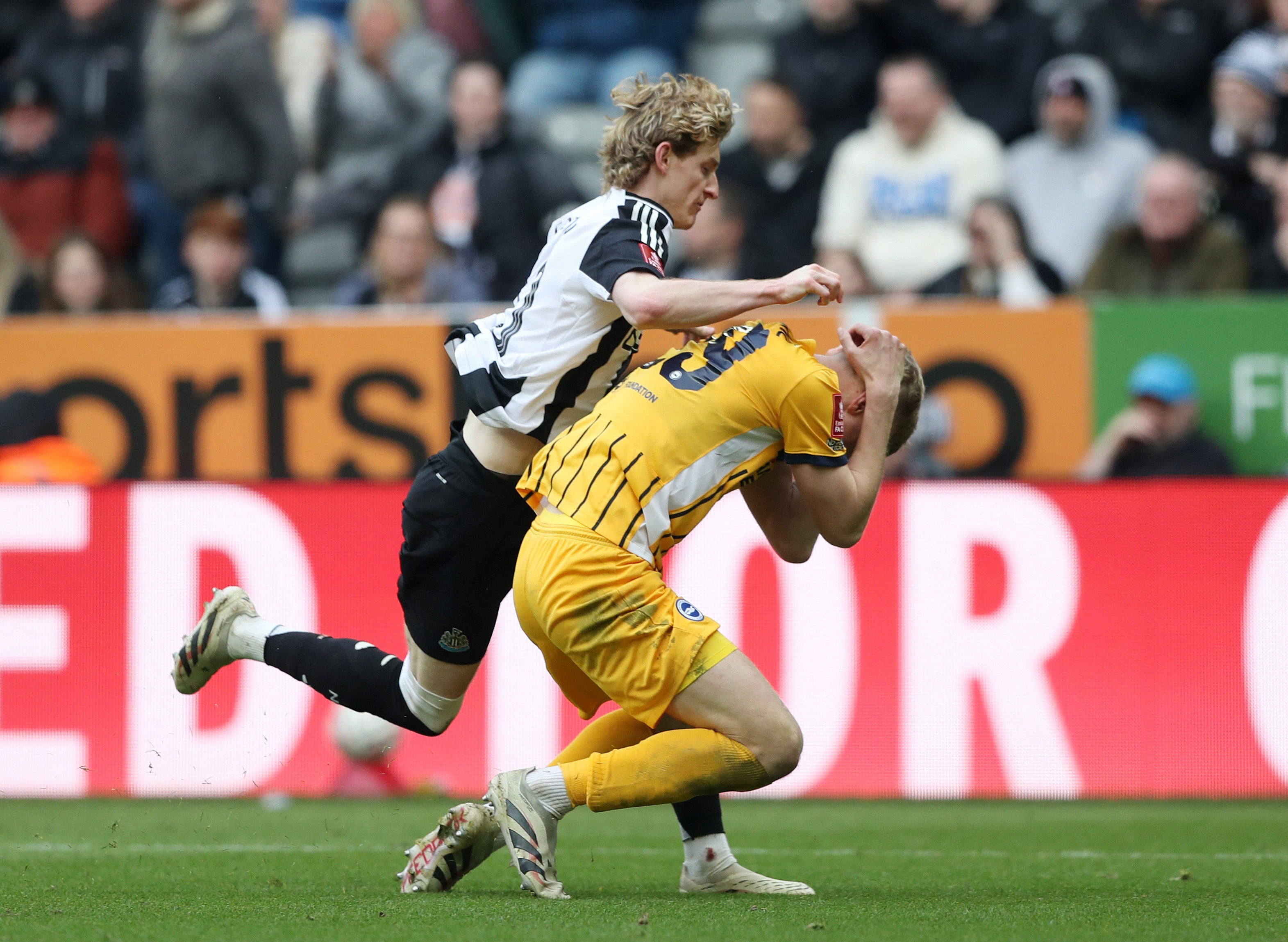 Anthony Gordon was sent off after swiping at Jan Paul van Hecke