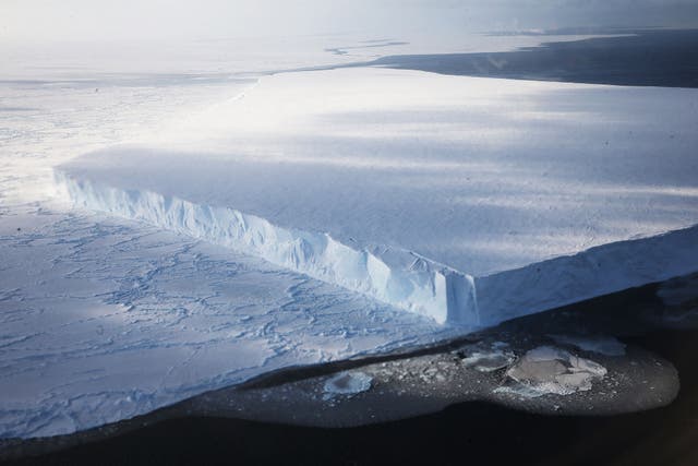 Melting Antarctic ice will negatively impact our oceans. Here’s why