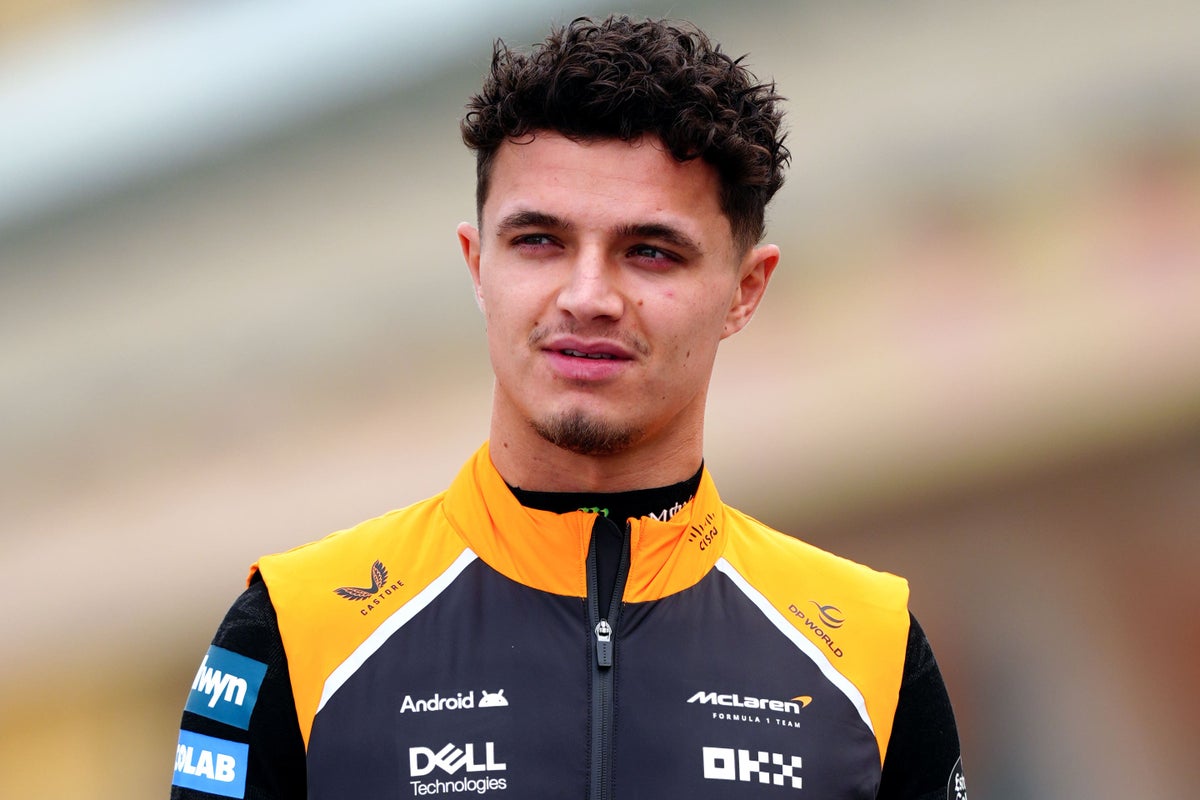 Lando Norris Primed for 2025 F1 Title Challenge, Says Mika Häkkinen
